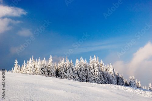 Winter landscape in mountains © Oleksandr Kotenko