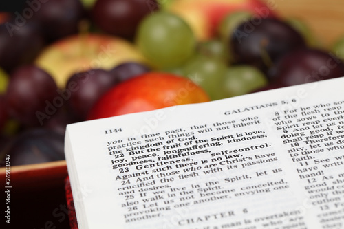 Fruit of the Spirit - Galatians 5:22 photo