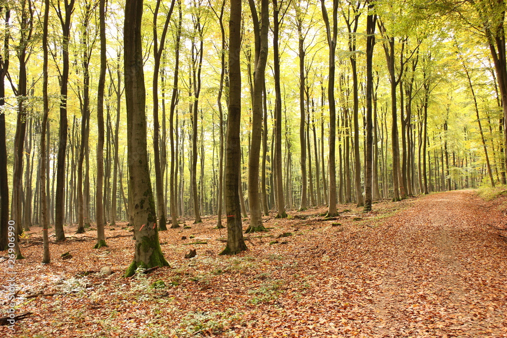 Herbst Herbst