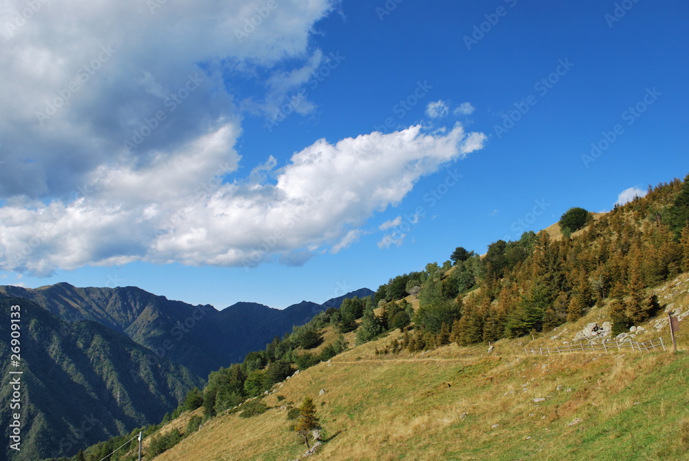Alps mountains in summer, Piedmont, Italy