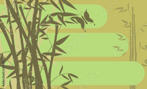 bamboo backgroundo10