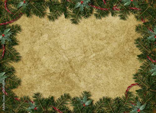 Card for the holiday with branches and berry on the abstract bac