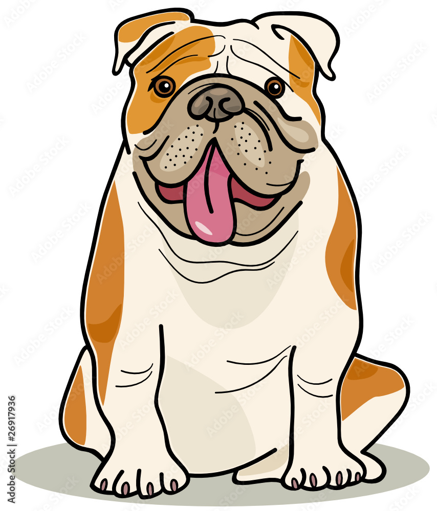 dog breeds: english bulldog