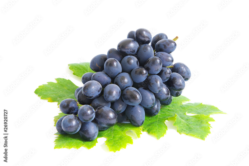 Fototapeta premium grapes