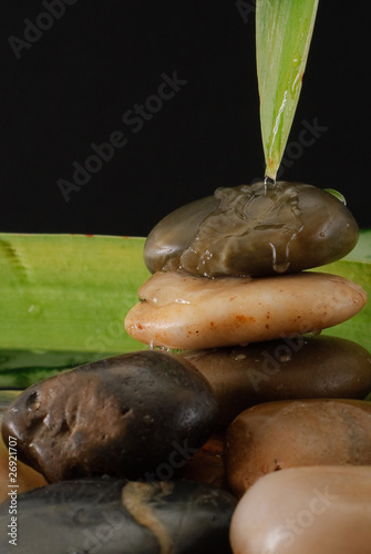 Water Running Down Leaf and Rocks photo