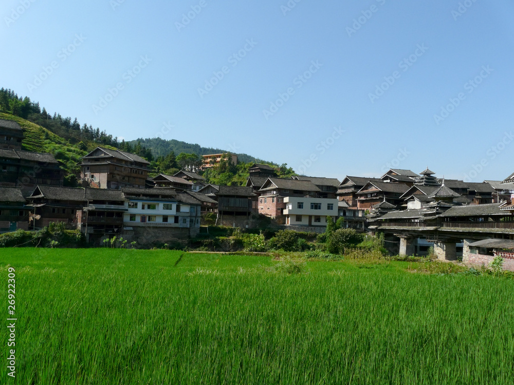Village dans les rizières