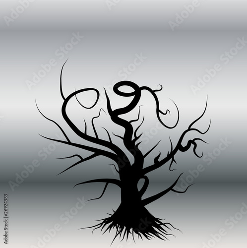 Shilhouette alter baum