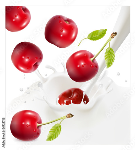 Vector. Ripe red cherries falling into the milky splash.