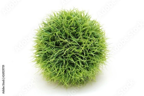 ball made of grass