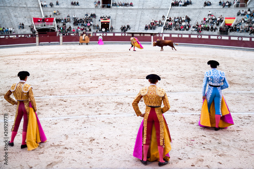 3 toreros (bullfighters) start the performance with the bull.