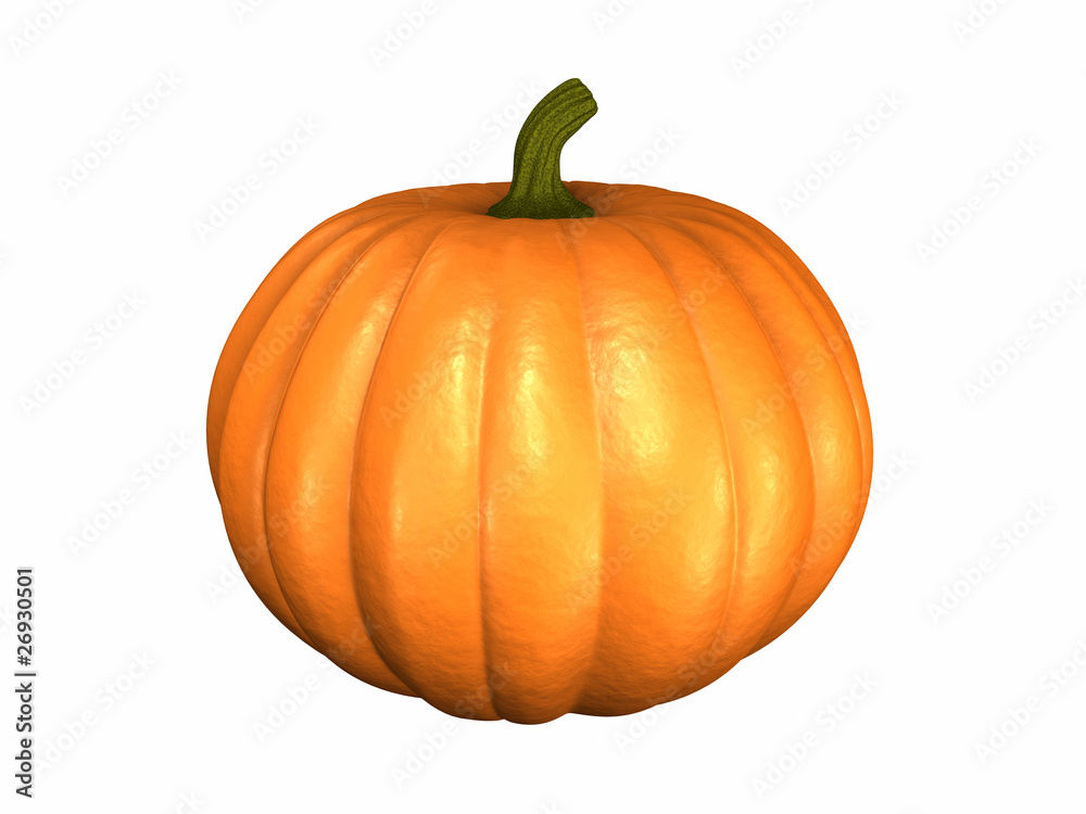Obraz premium Pumpkin