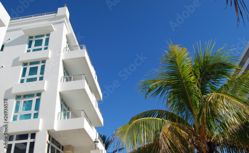 Condo Terraces and Palm Trees © Wimbledon