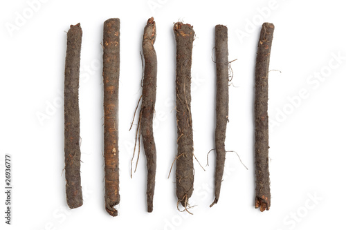 Row of fresh salsify roots photo