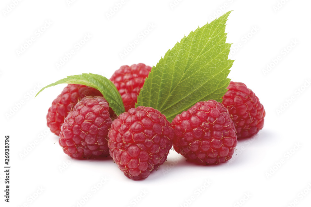 Raspberry Circle Raspberry Circle