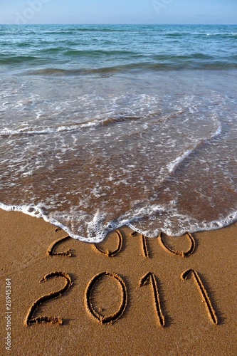 New year 2011. photo