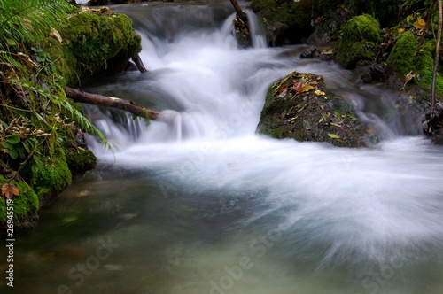 Natural Rivulet