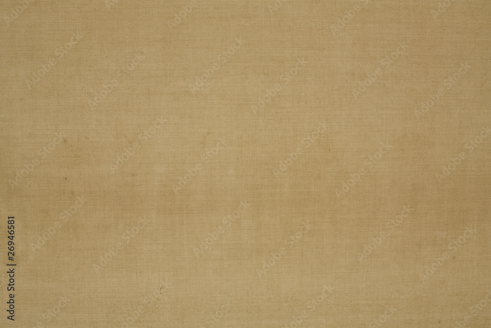 Light Brown Canvas Light Brown Canvas