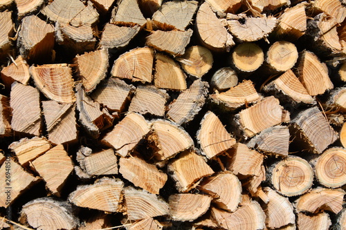 Catasta di legna