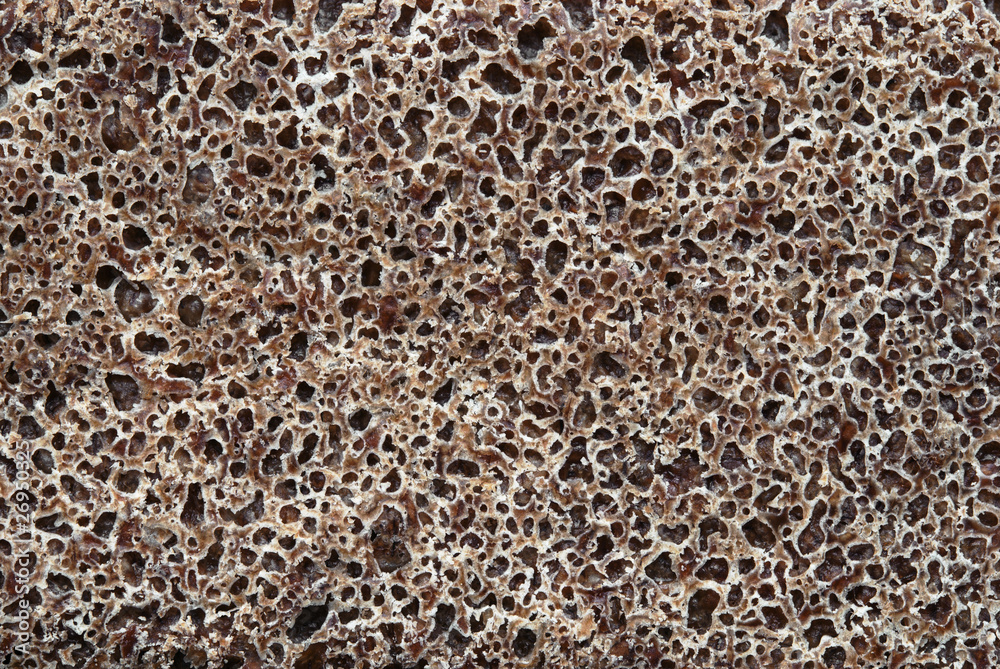 Surface of bread Surface of bread