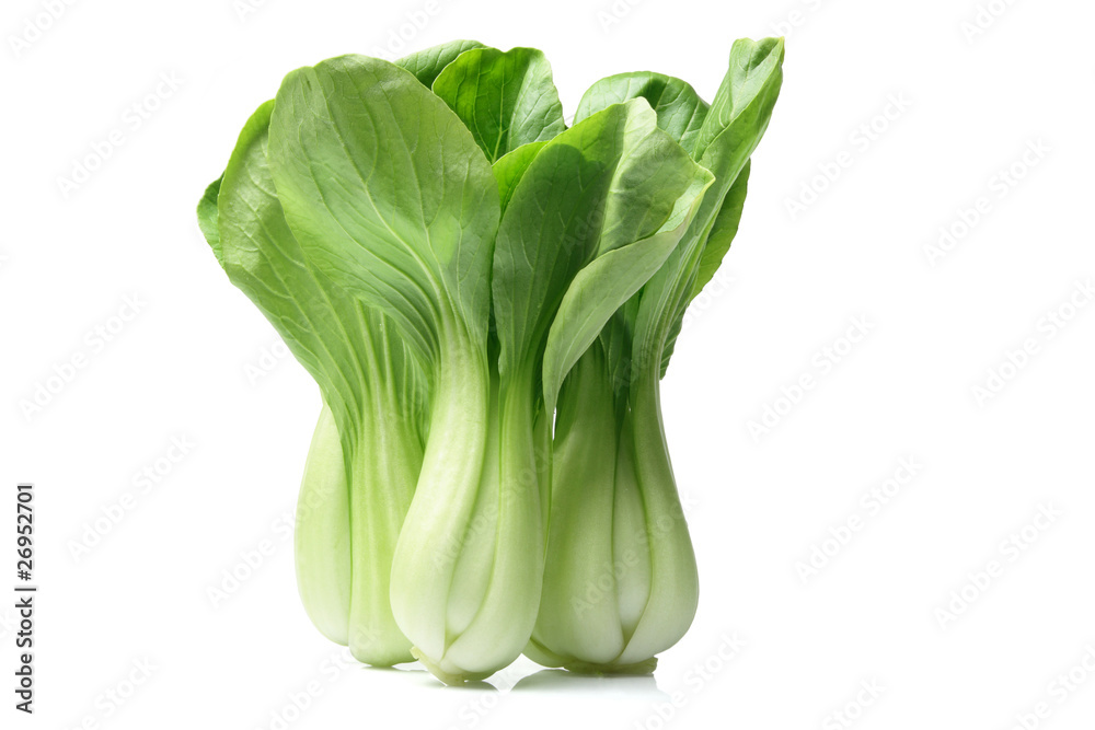 Chinese Cabbage Chinese Cabbage