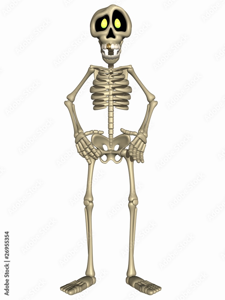 Toon Skeleton
