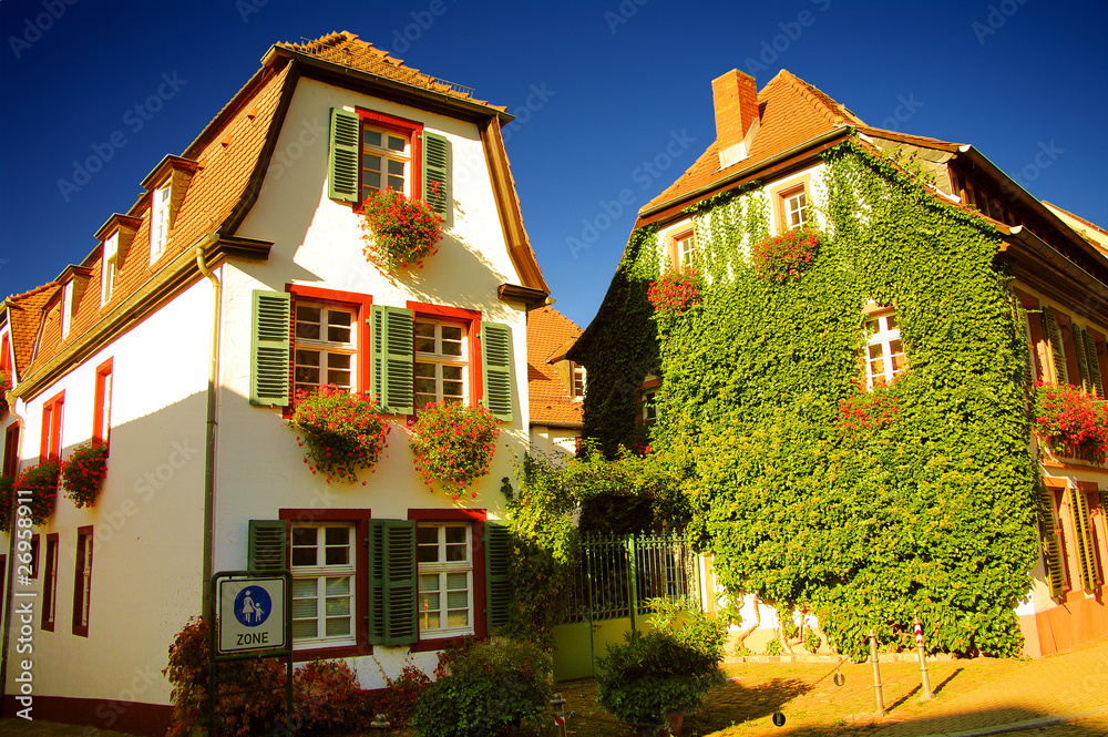 Old german houses in ivy, Altstadt, Heidelberg, Germany Old german houses in ivy, Altstadt, Heidelberg, Germany