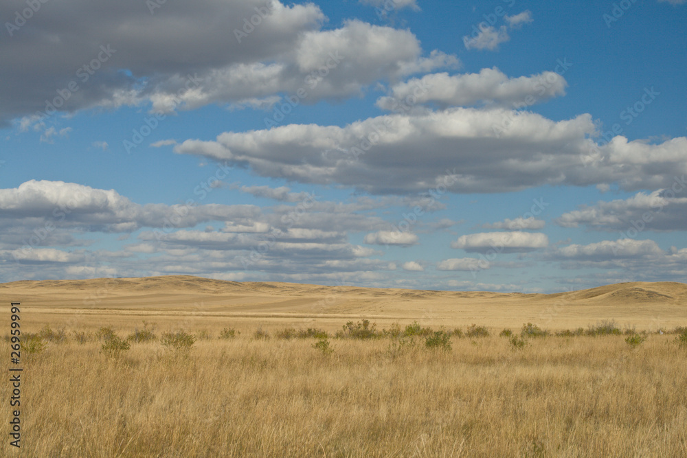 Yellow steppe and perfect sky