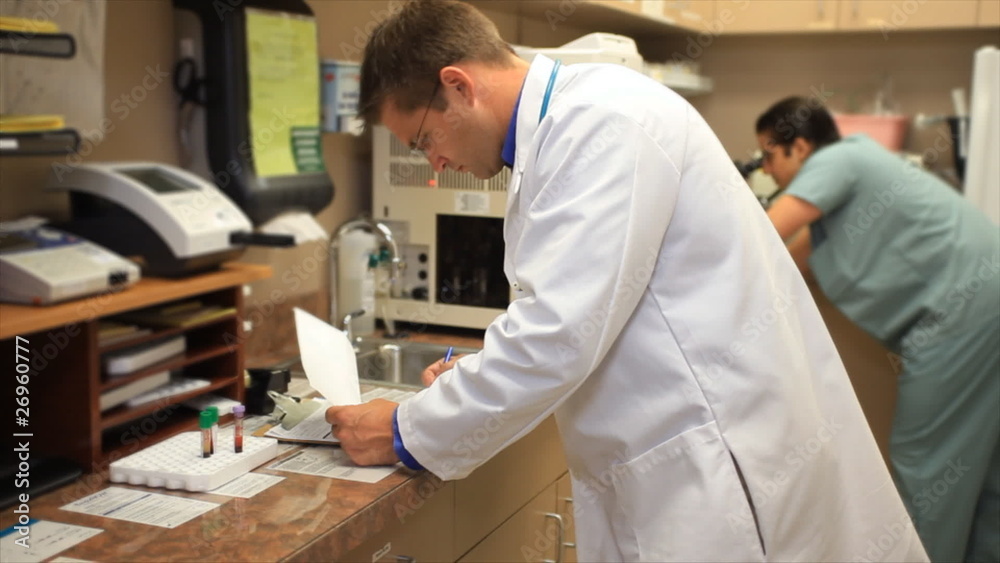 Doctor and Technician Working in Small Laboratory Doctor and Technician Working in Small Laboratory