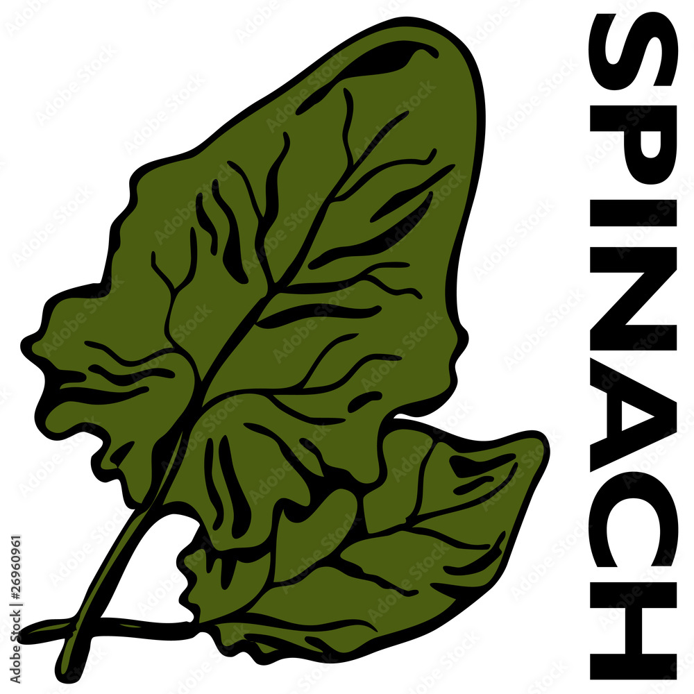 Obraz premium Spinach