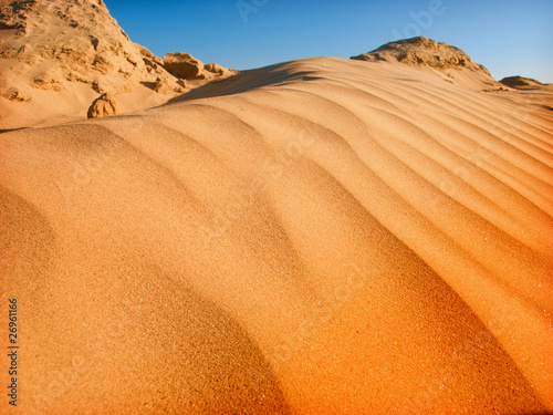 desert landscape