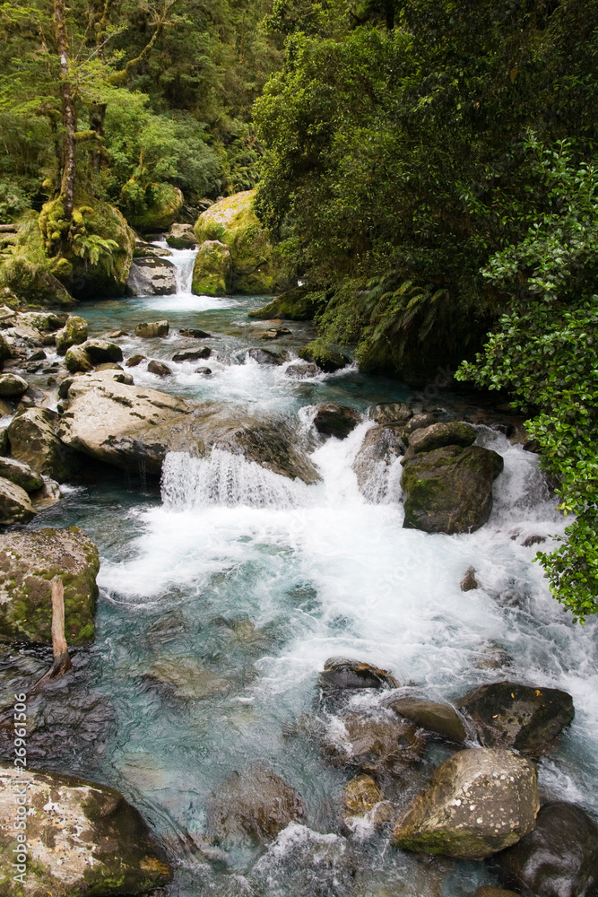Rainforest river Rainforest river