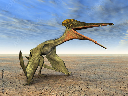 Flugsaurier Pterodactylus photo