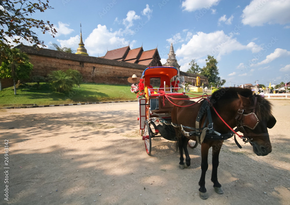 horse and carriage at northern of thailand