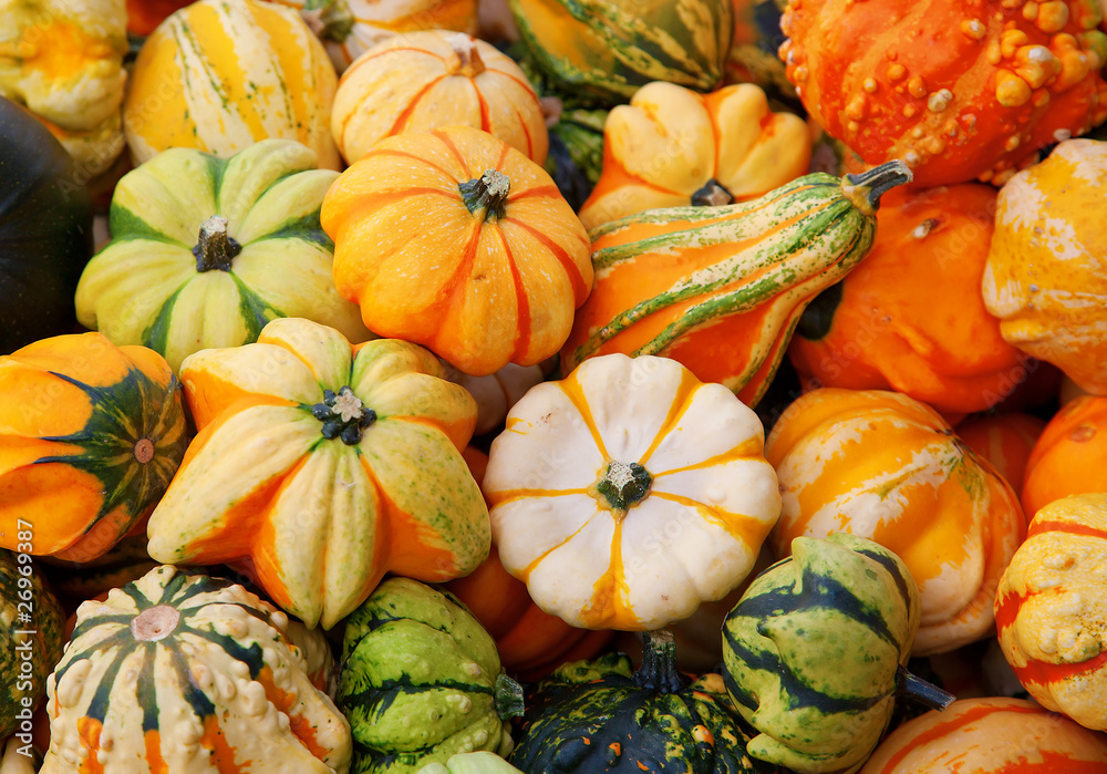 Colorful pumpkins