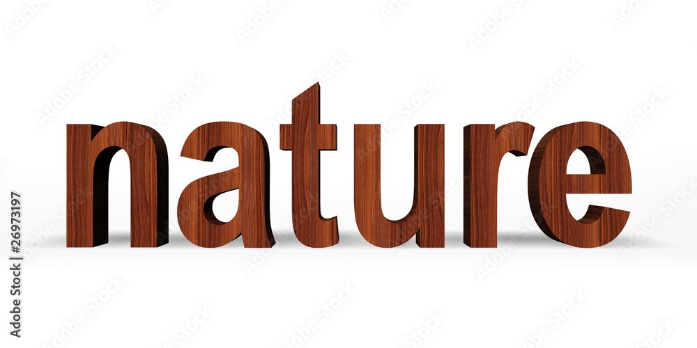 Nature - wooden word Nature - wooden word