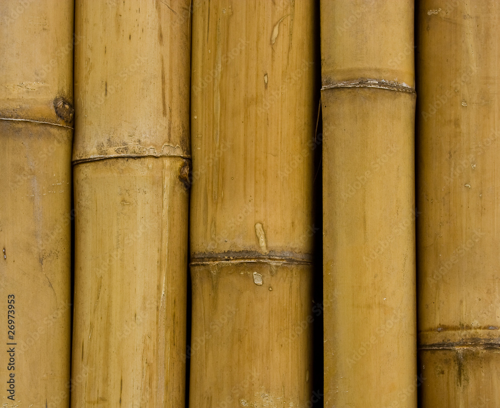 closed up bamboo background closed up bamboo background
