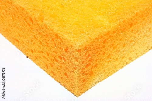 Schwamm