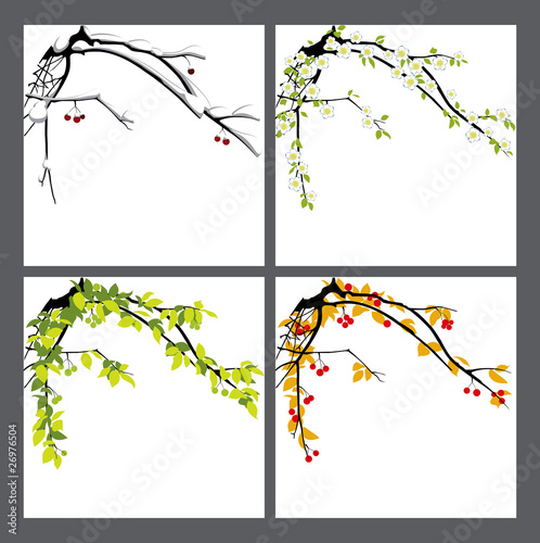 Apple-tree. Seasons.