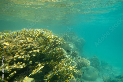 Diving in Egypt