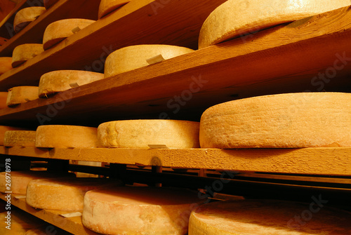 Photos Vacherin Fribourgeois Suisse