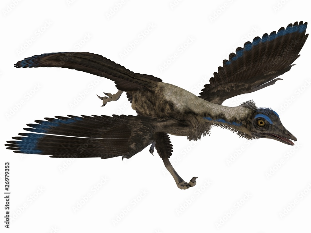 Obraz premium Archaeopteryx - 3D Dinosaurier