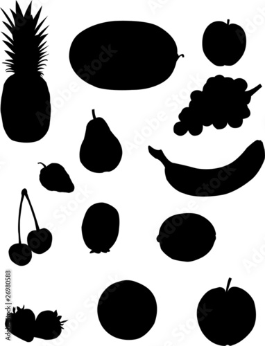 fruit - vector