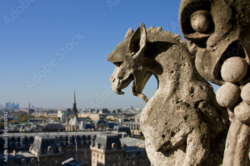Obraz w ramie Two gargoyle statues