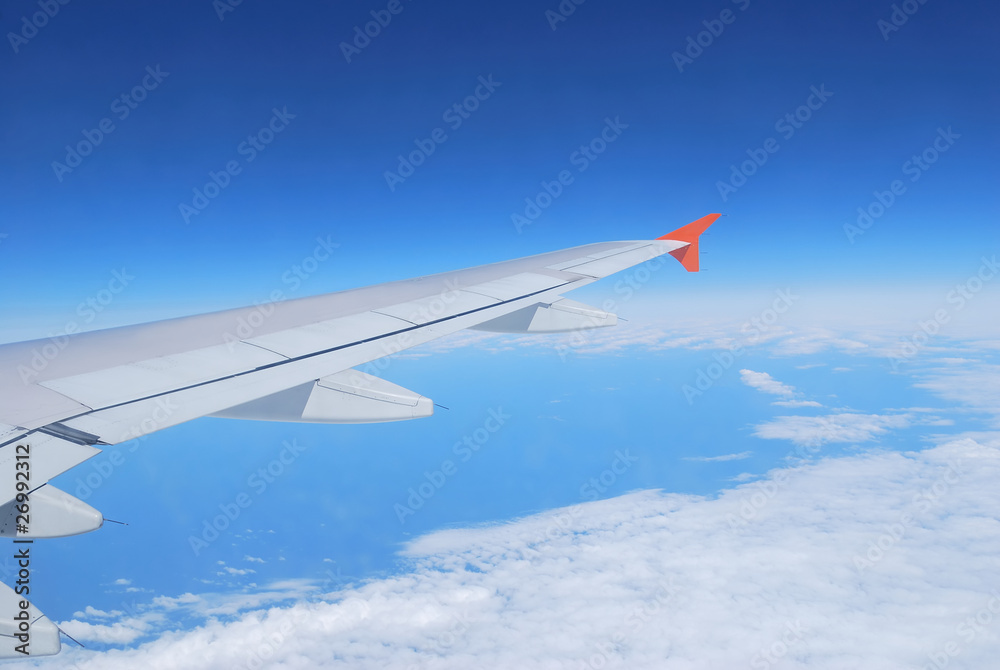 Flight in the blue Flight in the blue