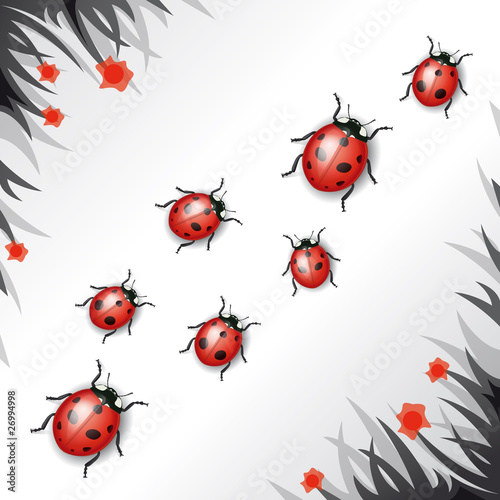 Troupe de coccinelles, vecteur