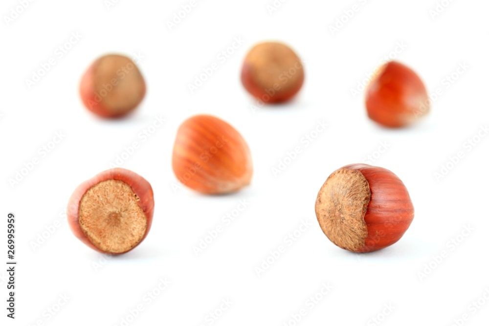 Hazelnuts against a white background Hazelnuts against a white background