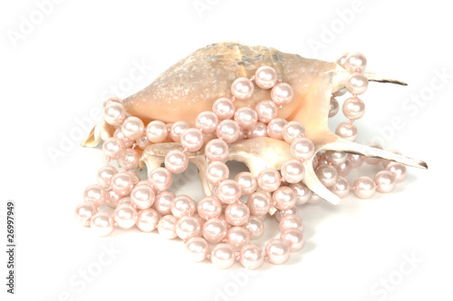 Seashell and pearl necklace