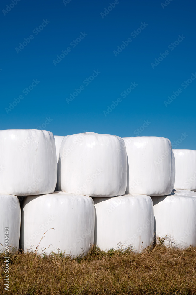 Stacks of hay bales wrapped in plastic with blue sky Stacks of hay bales wrapped in plastic with blue sky