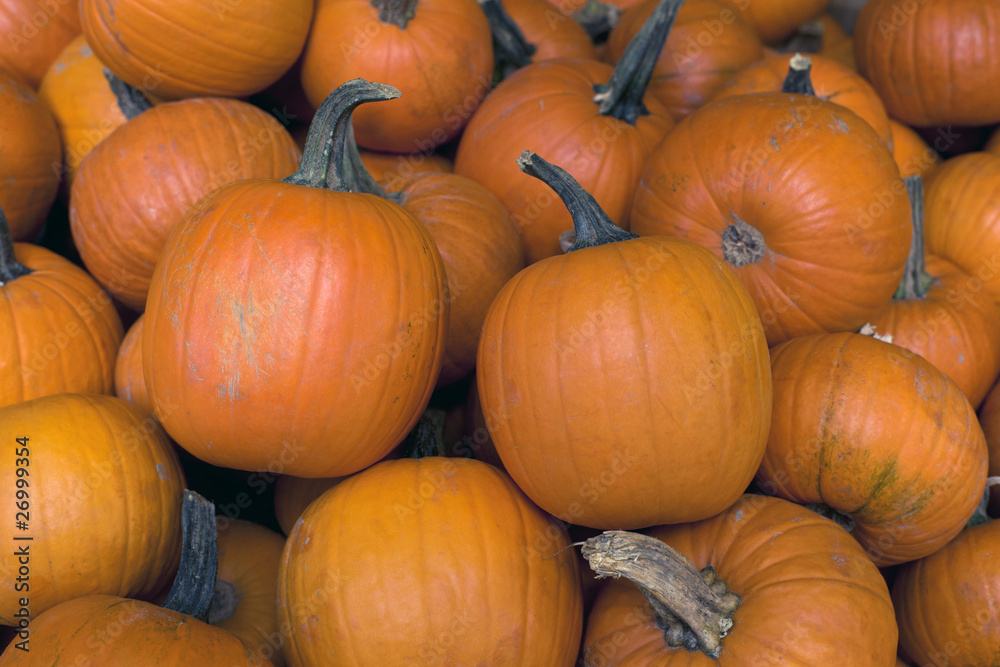 Pile of pumpkins
