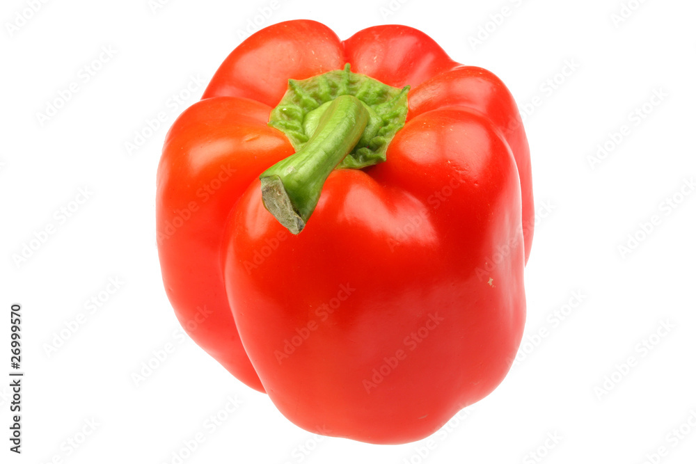 Red Pepper Red Pepper